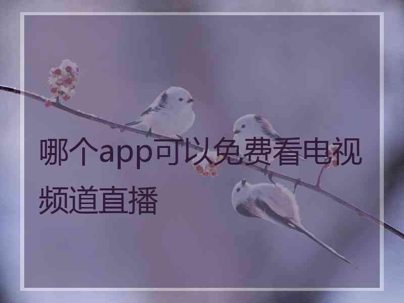 哪个app可以免费看电视频道直播