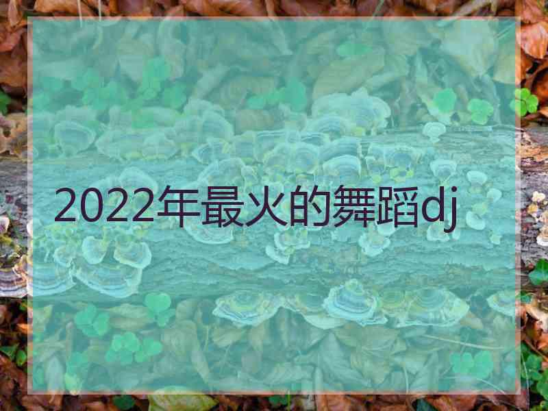 2022年最火的舞蹈dj