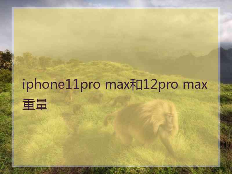 iphone11pro max和12pro max重量