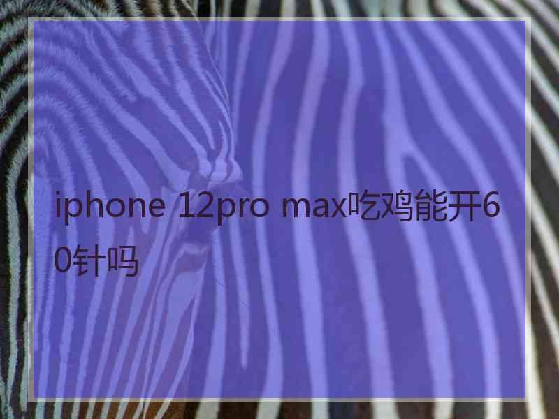 iphone 12pro max吃鸡能开60针吗