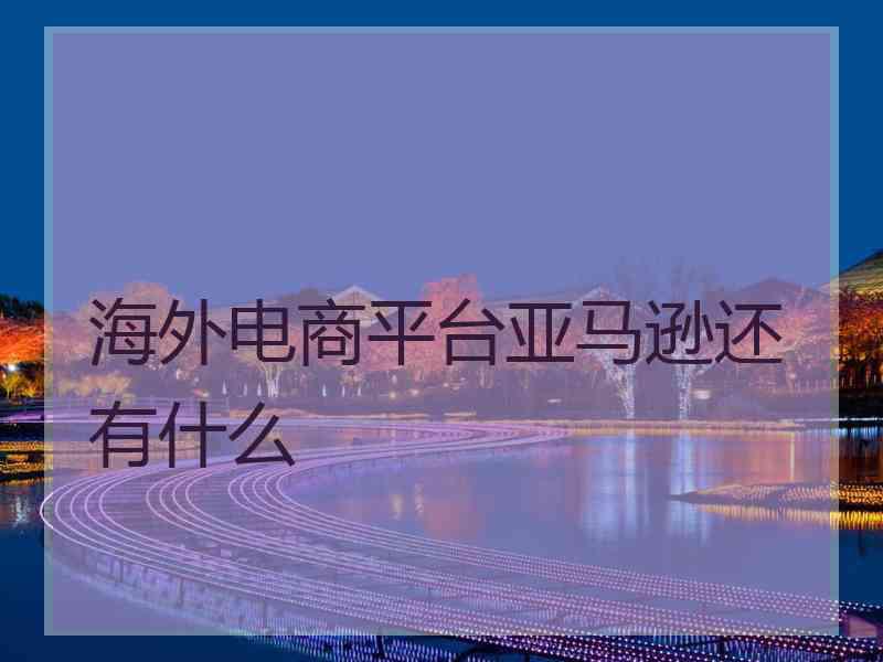 海外电商平台亚马逊还有什么