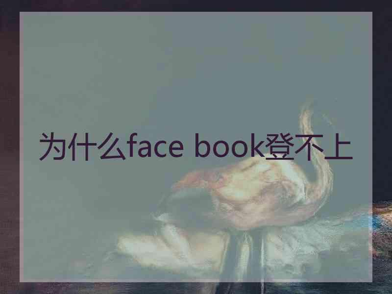 为什么face book登不上