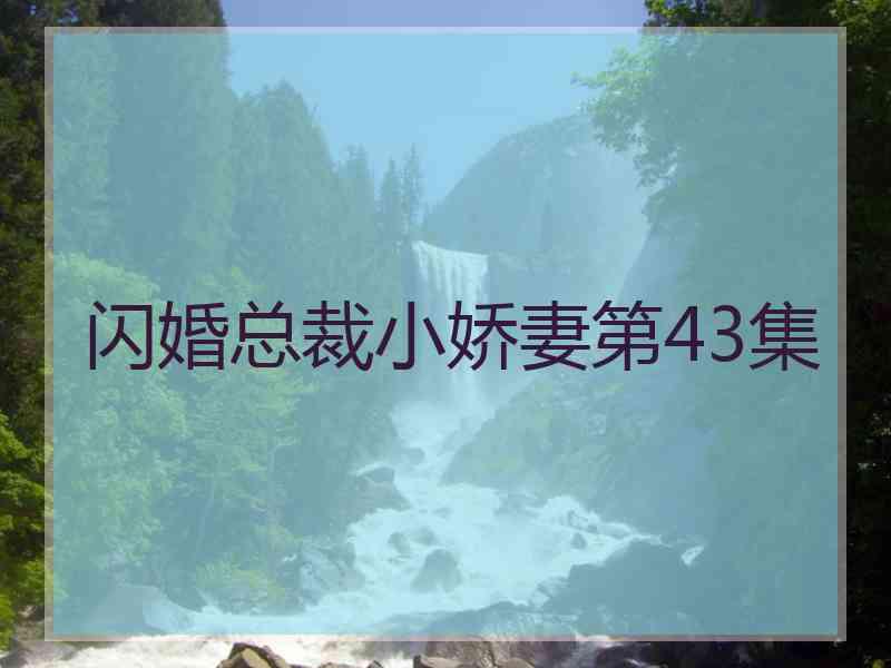 闪婚总裁小娇妻第43集