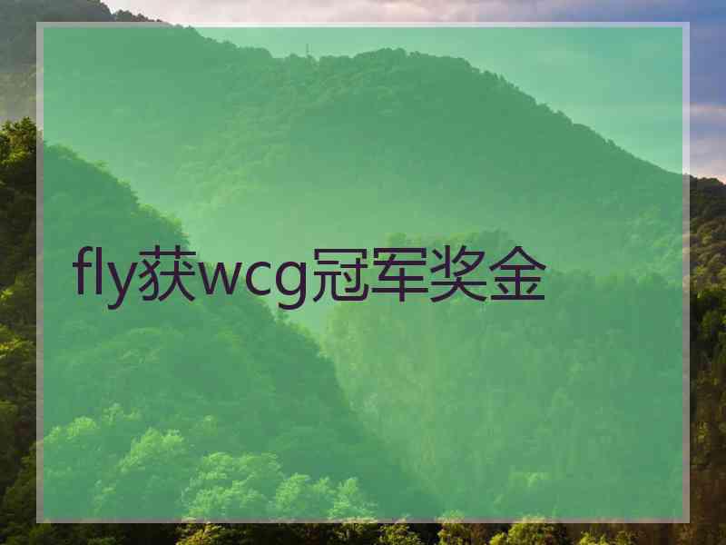 fly获wcg冠军奖金