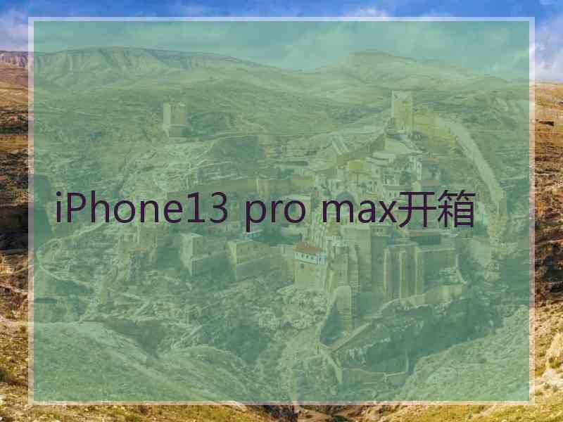 iPhone13 pro max开箱