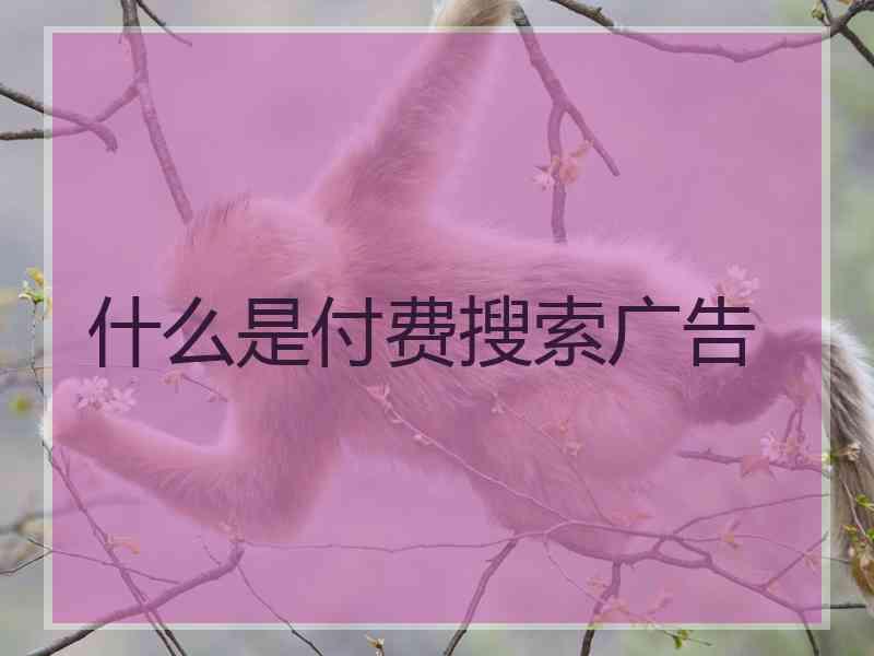 什么是付费搜索广告