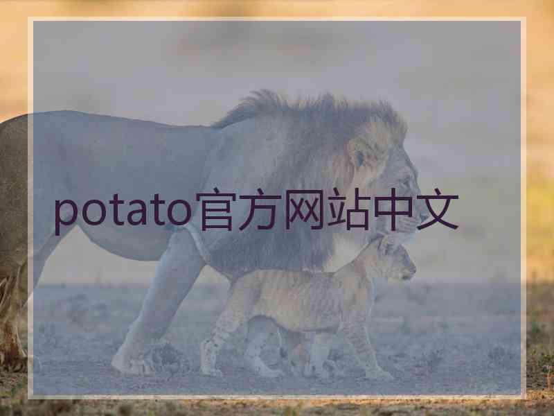 potato官方网站中文