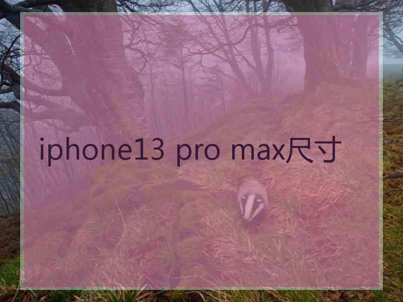 iphone13 pro max尺寸