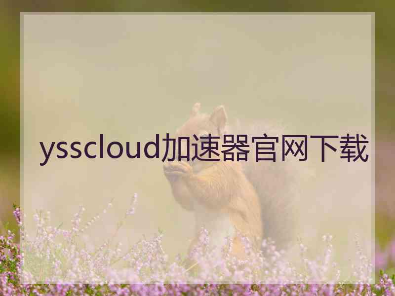 ysscloud加速器官网下载