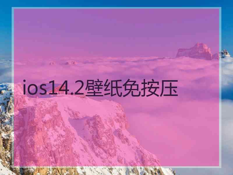 ios14.2壁纸免按压