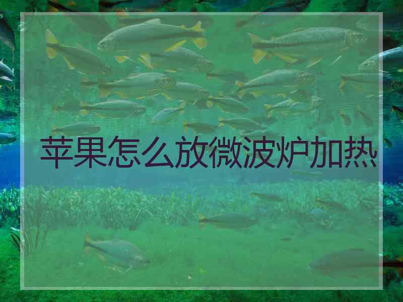 苹果怎么放微波炉加热