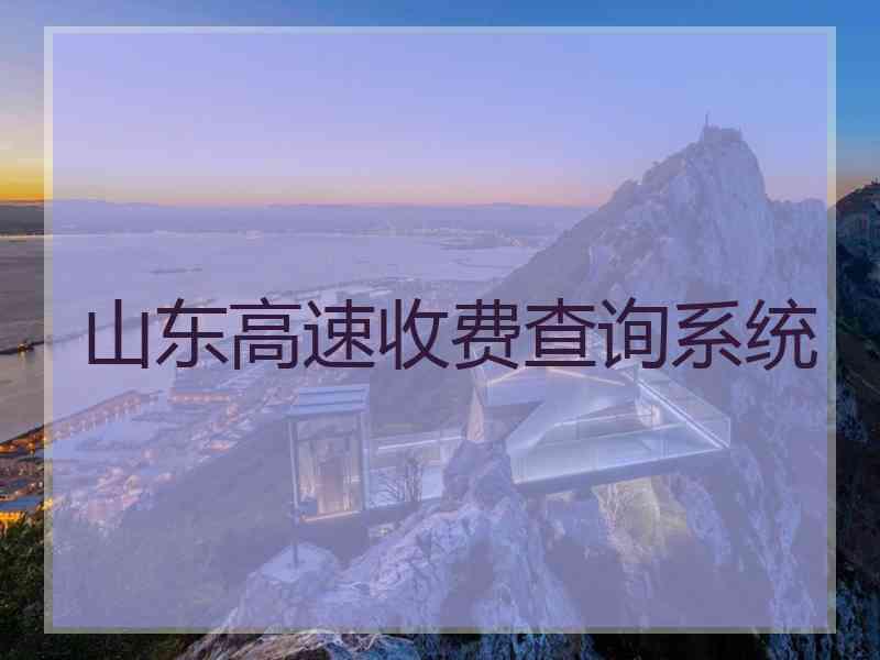 山东高速收费查询系统