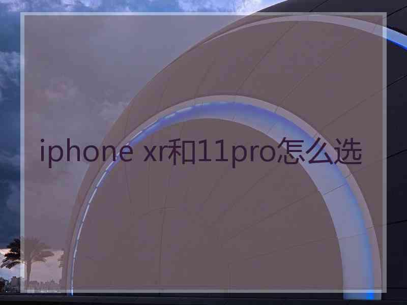 iphone xr和11pro怎么选