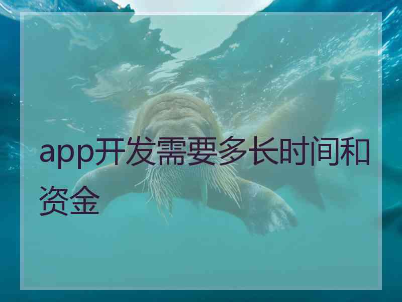 app开发需要多长时间和资金