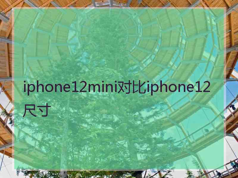 iphone12mini对比iphone12尺寸