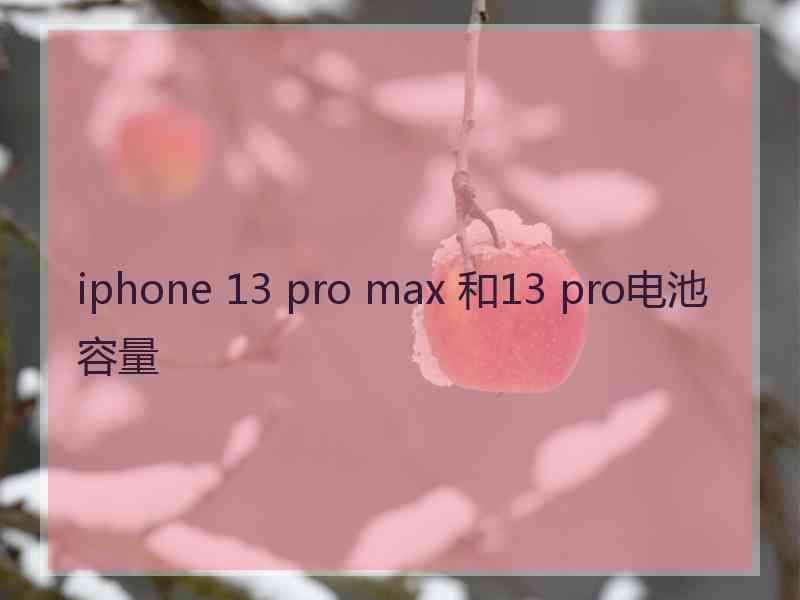 iphone 13 pro max 和13 pro电池容量