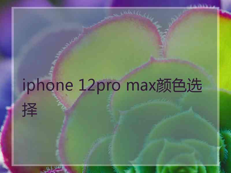 iphone 12pro max颜色选择