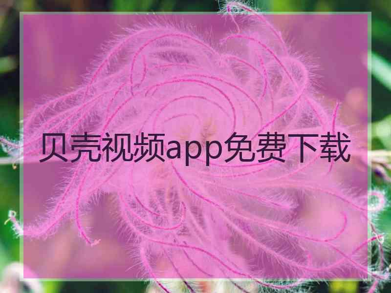 贝壳视频app免费下载