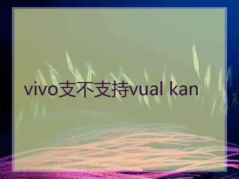 vivo支不支持vual kan