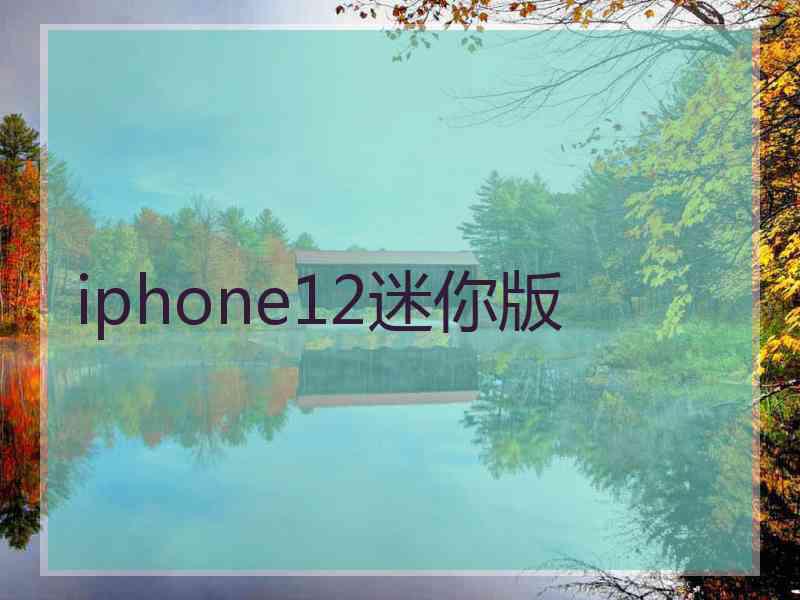 iphone12迷你版