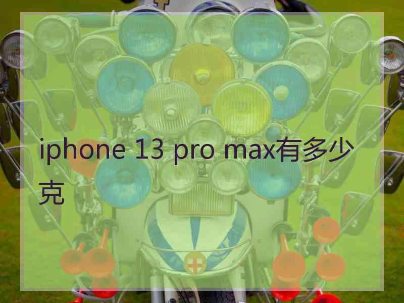 iphone 13 pro max有多少克