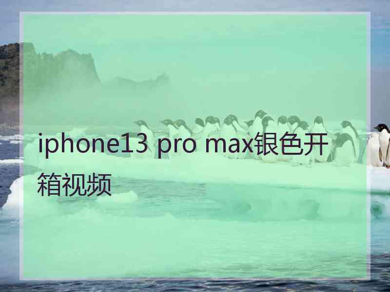 iphone13 pro max银色开箱视频