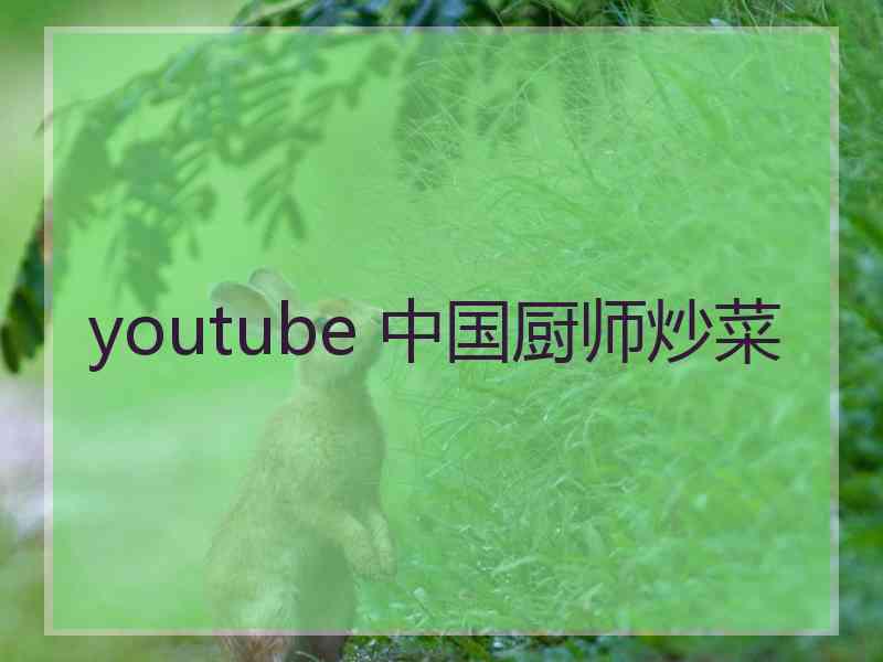 youtube 中国厨师炒菜