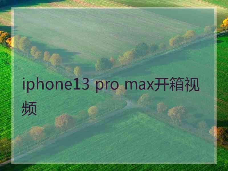 iphone13 pro max开箱视频