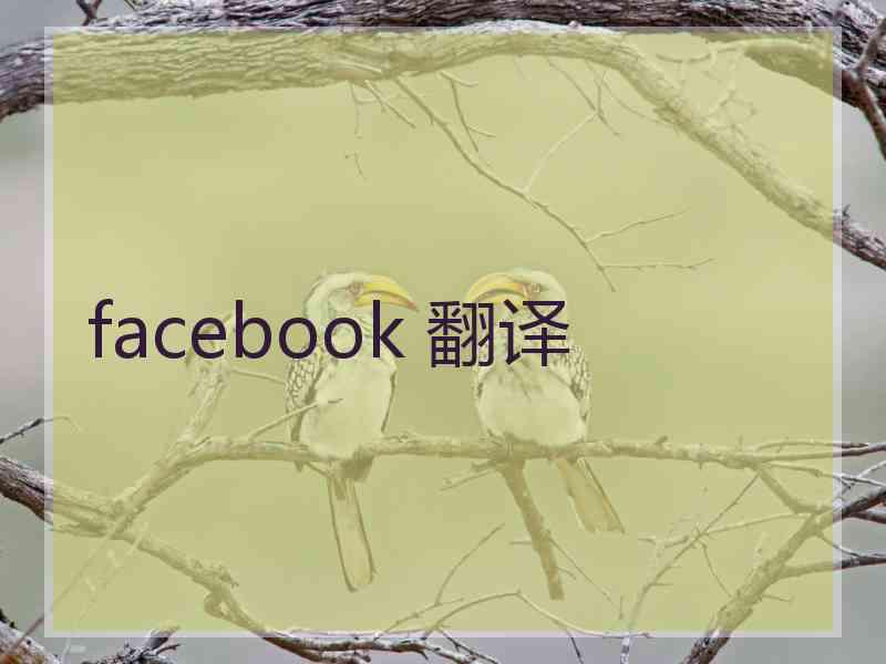 facebook 翻译