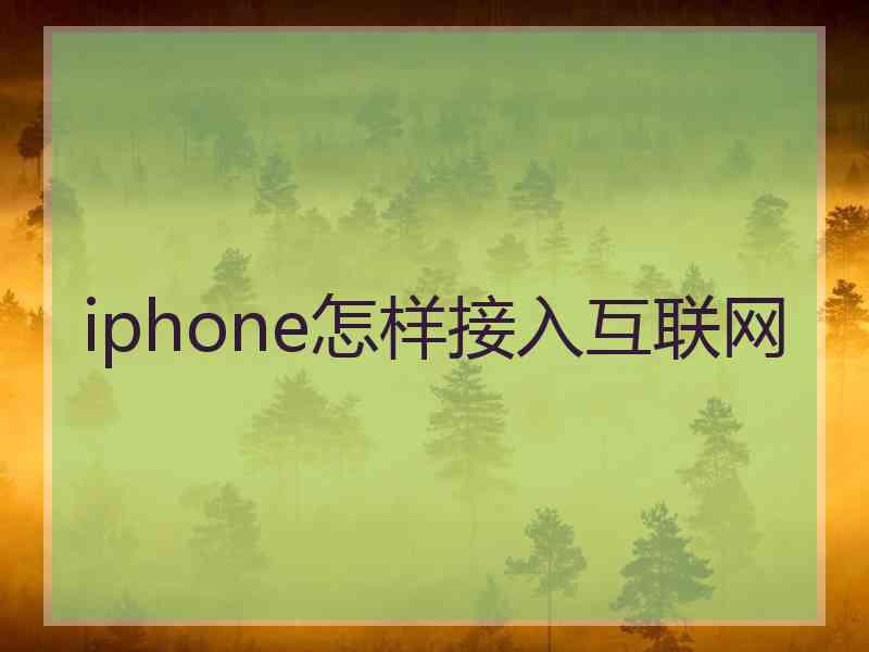 iphone怎样接入互联网