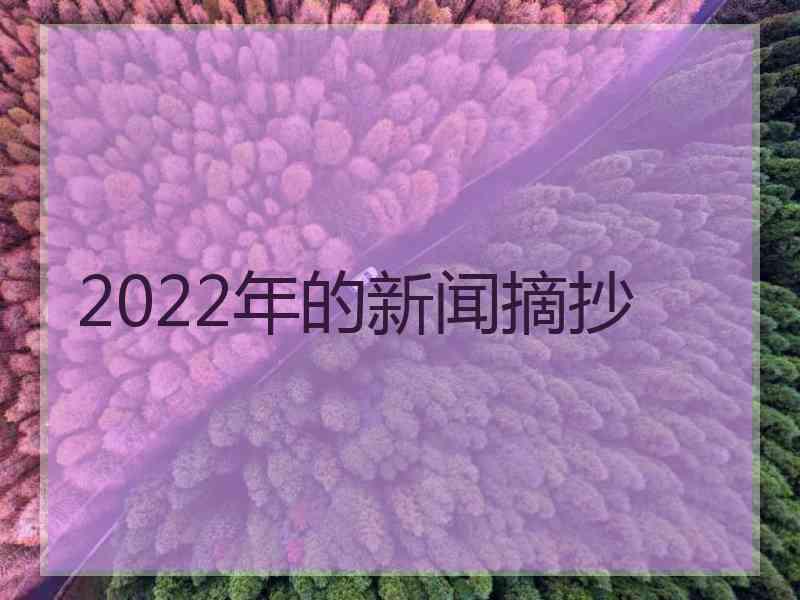 2022年的新闻摘抄