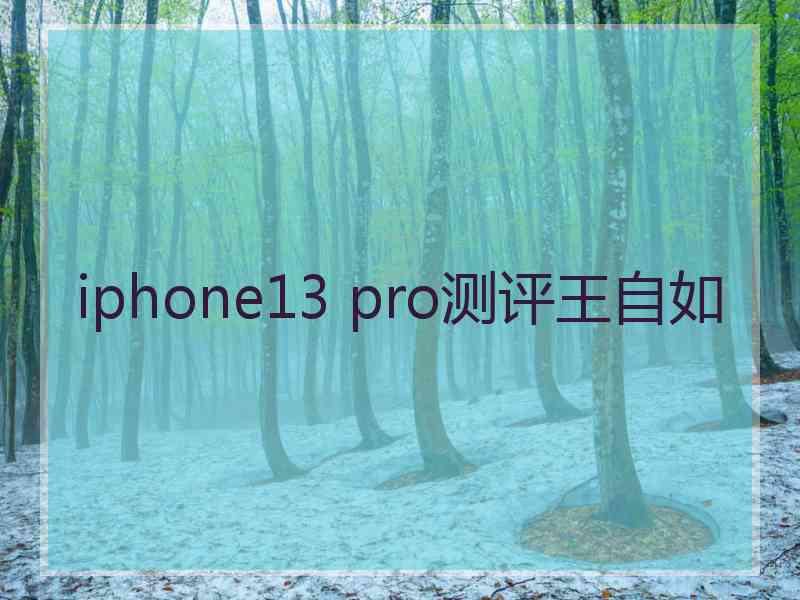 iphone13 pro测评王自如