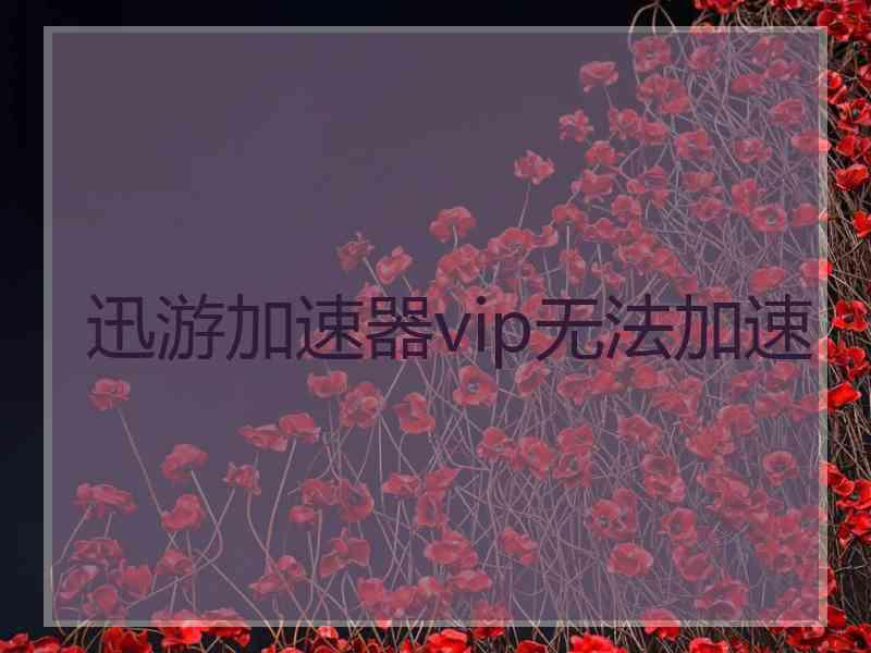 迅游加速器vip无法加速