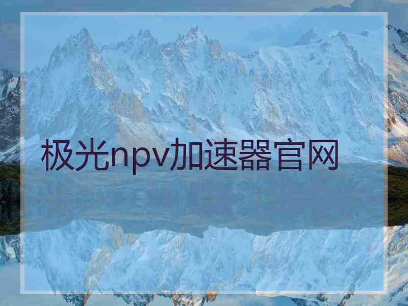 极光npv加速器官网