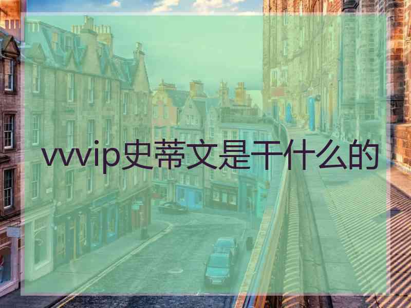 vvvip史蒂文是干什么的