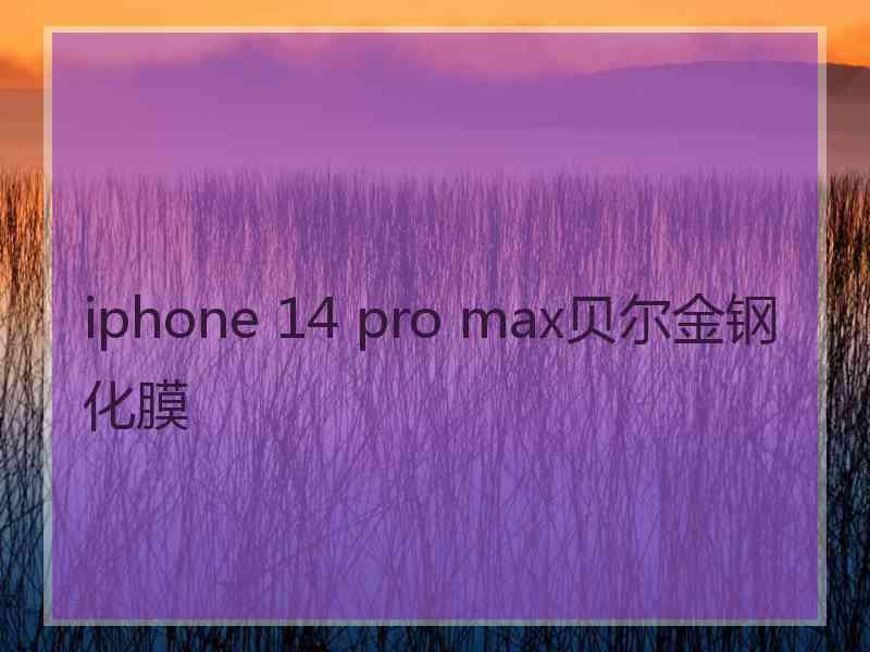 iphone 14 pro max贝尔金钢化膜