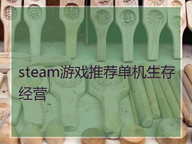 steam游戏推荐单机生存经营