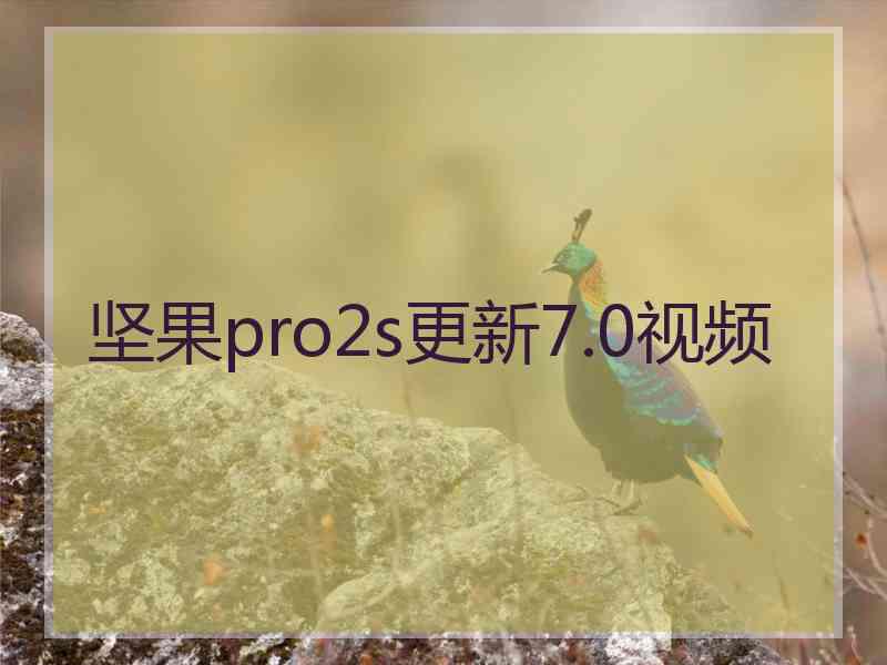 坚果pro2s更新7.0视频