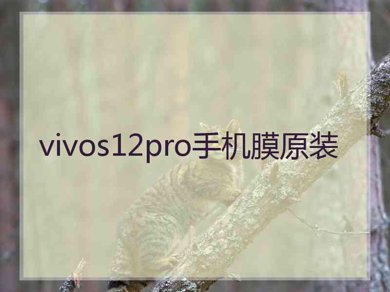 vivos12pro手机膜原装