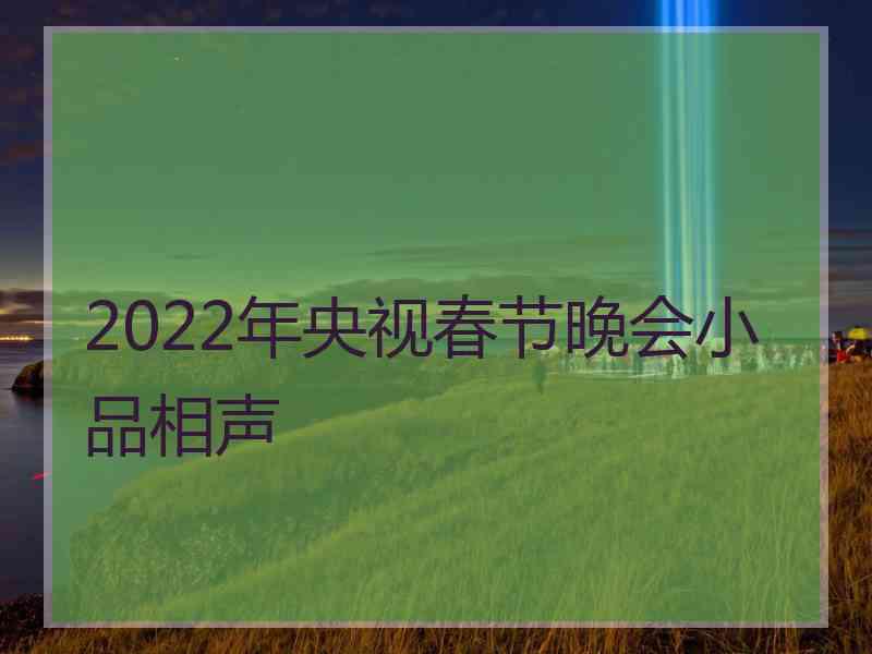 2022年央视春节晚会小品相声