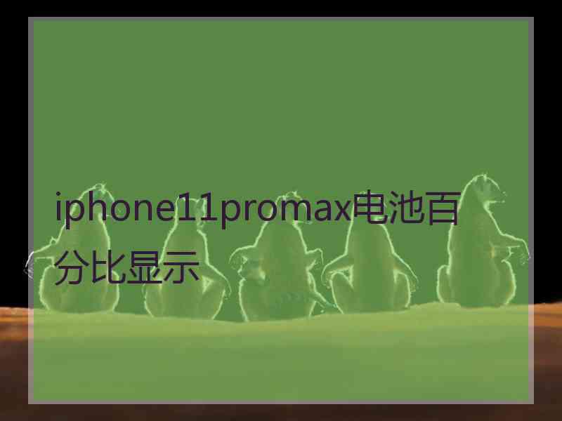 iphone11promax电池百分比显示