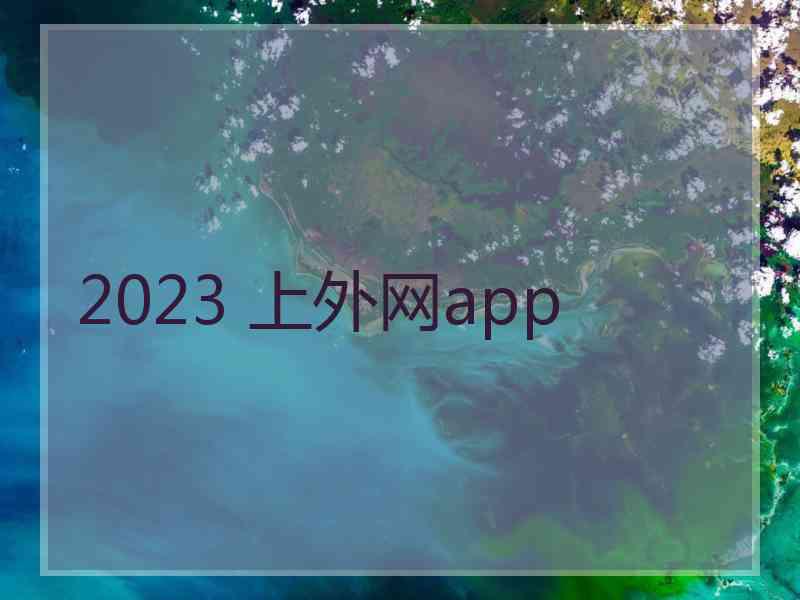 2023 上外网app