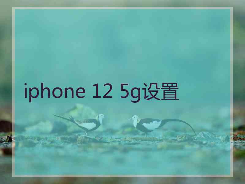 iphone 12 5g设置