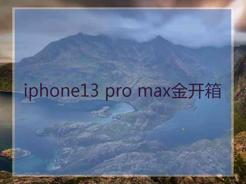 iphone13 pro max金开箱