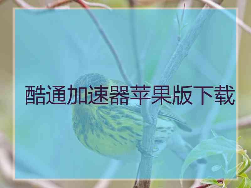 酷通加速器苹果版下载