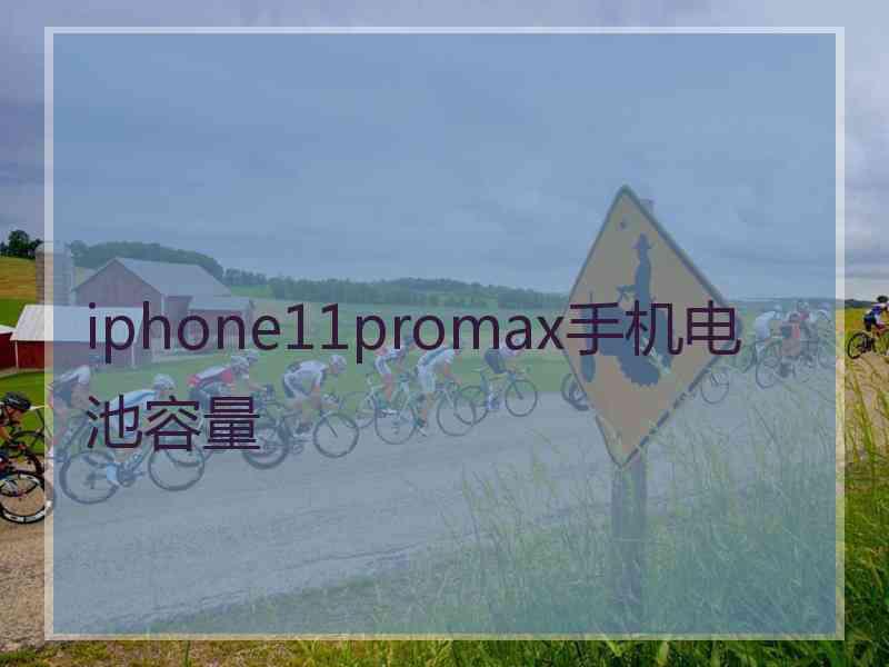 iphone11promax手机电池容量