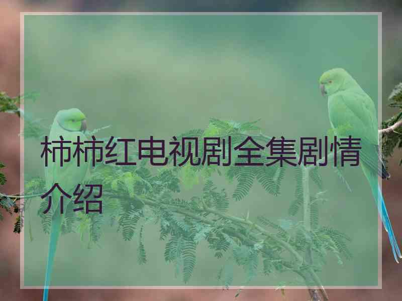 柿柿红电视剧全集剧情介绍