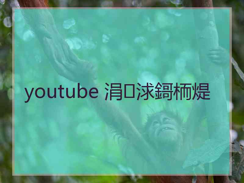 youtube 涓浗鎶栭煶