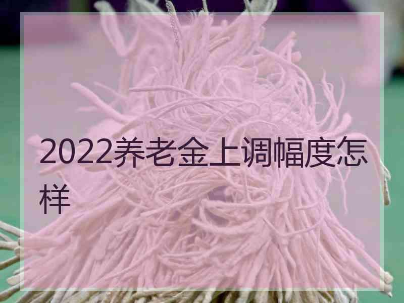 2022养老金上调幅度怎样