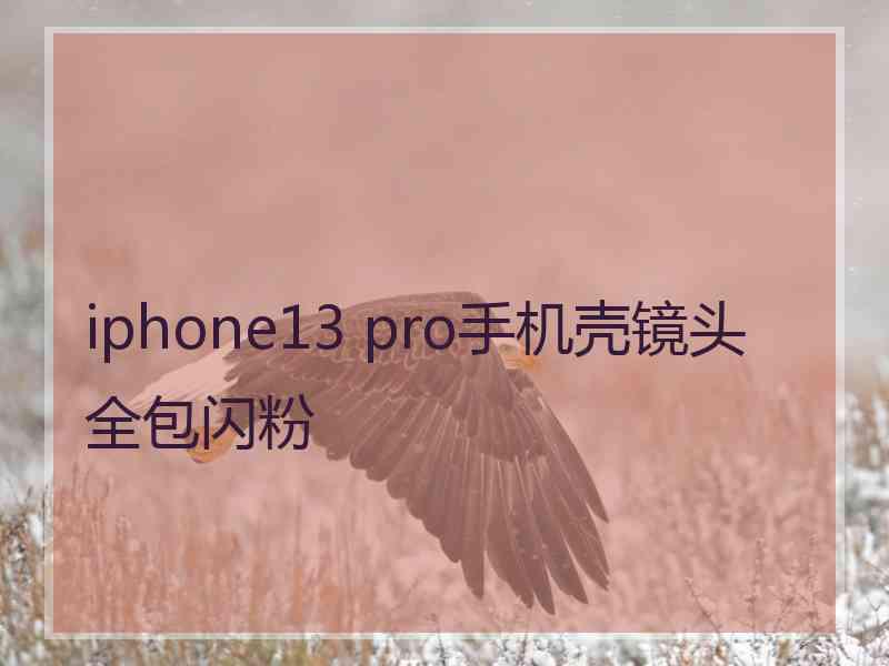 iphone13 pro手机壳镜头全包闪粉